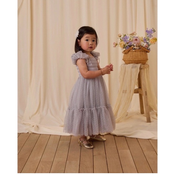 Noralee Clara Tulle Dress in Periwinkle for Toddlers - Picture 8 of 8